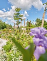 assets/images/4/stadthotel-schaerding_gartenschau3-6ca48cdc.jpg