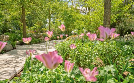 assets/images/5/stadthotel-schaerding_gartenschau-741c81f4.jpg