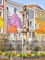 assets/images/b/stadthotel-schaerding_unterer-stadtplatz-c3a8f47f.jpg